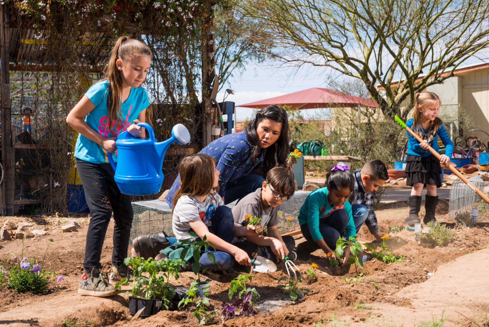 Earth Day Activities for Your Classroom